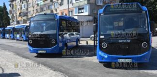 Шесть новых электробусов вышли на маршруты в Монтане