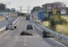 Стадо буйволов стало причиной аварии в Софии