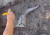 Уникальный стеклянный ритон обнаружен во время раскопок в Болгарии