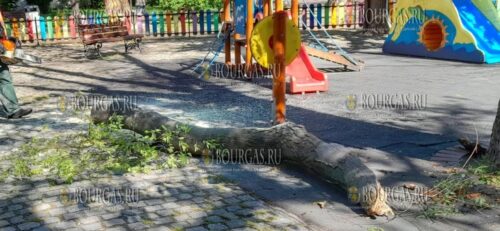 в центре Бургаса на ребёнка упала часть дерева