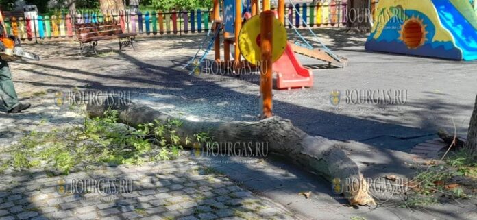 в центре Бургаса на ребёнка упала часть дерева