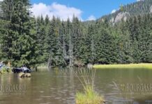 Водолазы очистили дно в одном из Смолянских озер от растительности и мусора