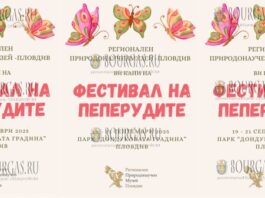 Фестиваль бабочек проходит в Пловдиве