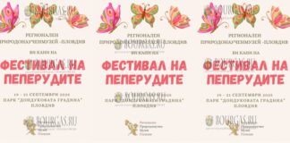 Фестиваль бабочек проходит в Пловдиве