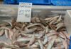 на рыбном рынке в Бургасе рыбы нет, продавцы пользуются моментом и подняли цены