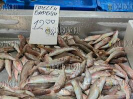на рыбном рынке в Бургасе рыбы нет, продавцы пользуются моментом и подняли цены