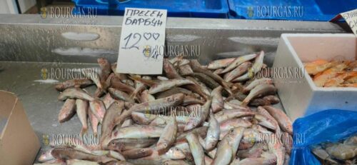 на рыбном рынке в Бургасе рыбы нет, продавцы пользуются моментом и подняли цены