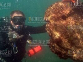 подводный порт у крепости Ерите обнаружен экспедицией у мыса Киллик