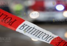 полиция в Болгарии, МВД Болгарии
