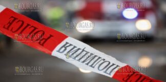 полиция в Болгарии, МВД Болгарии