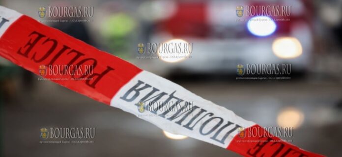 полиция в Болгарии, МВД Болгарии