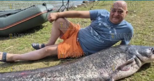 сом весом почти 60 килограммов был пойман на водохранилище Кырджали