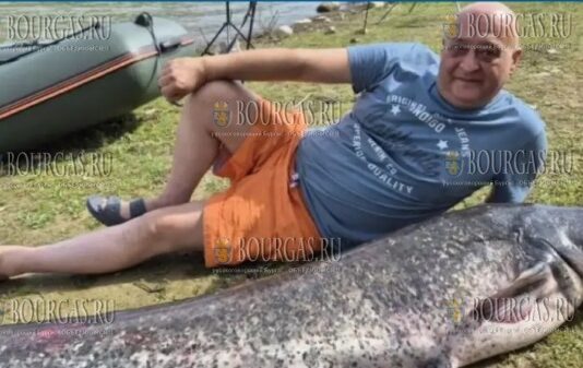 сом весом почти 60 килограммов был пойман на водохранилище Кырджали