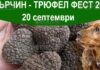 Трюфел фест в Болгарии