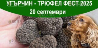 Трюфел фест в Болгарии