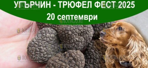 Трюфел фест в Болгарии