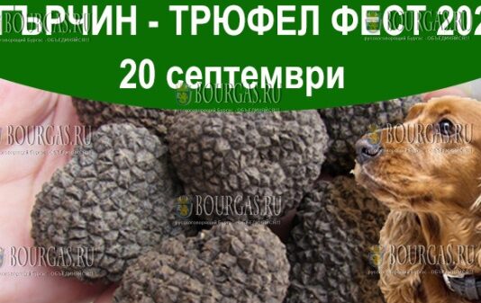 Трюфел фест в Болгарии