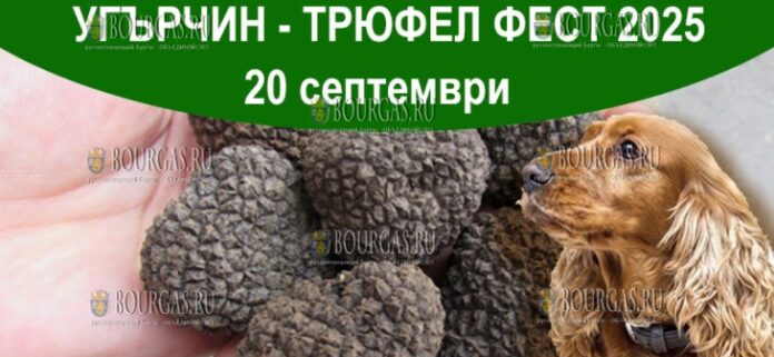 Трюфел фест в Болгарии