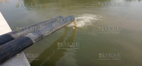 в Болгарии обнаружено загрязнение реки Дунай