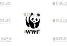 WWF Болгарии