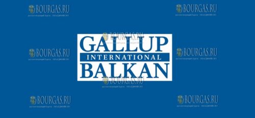 Gallup Balkan
