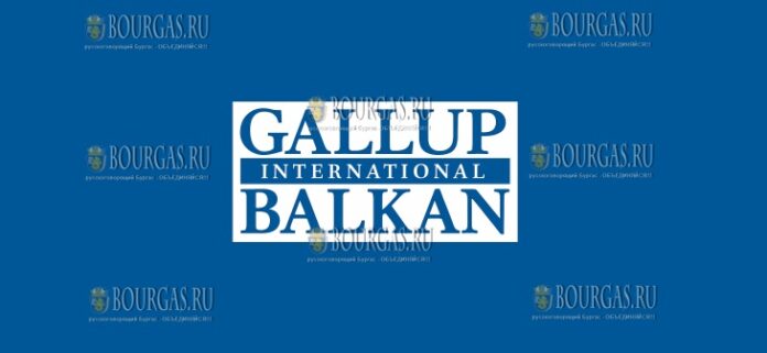 Gallup Balkan