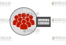 Gallup International Balkan