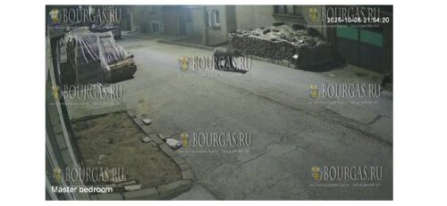 Мишка был замечен на улицах в селе Доспат в Болгарии