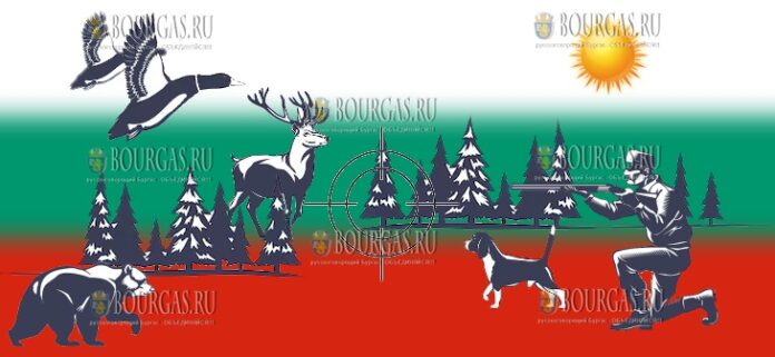 охота в Болгарии охота в Болгарии