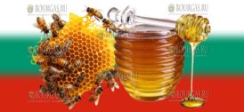 Число зарегистрированных пчеловодов в Болгарии сокращается