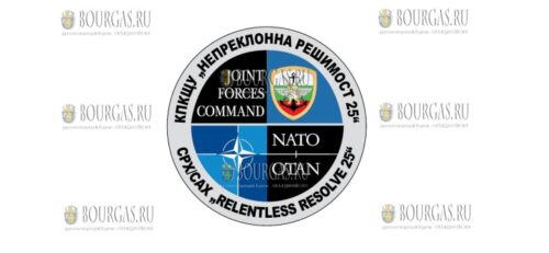 В Болгарии прошли учения „Непреклонна решимост - 25“
