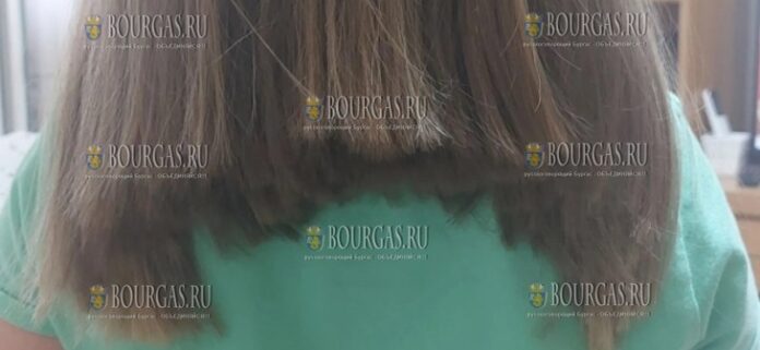 за стрижку в Болгарии за стрижку в Болгарии