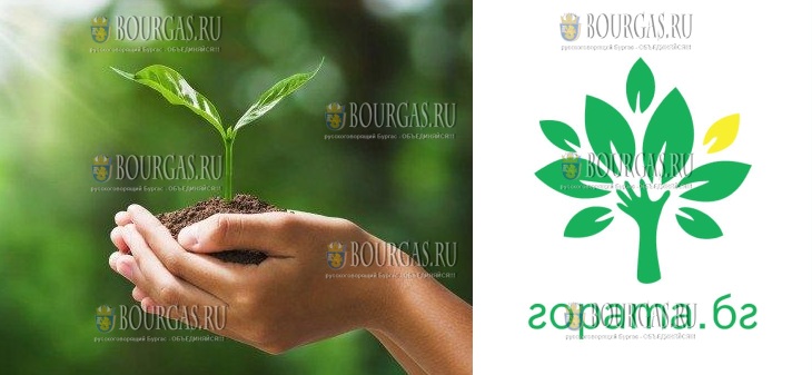 ГОРАТА-БГ - восстановление болгарских лесов