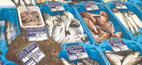 начало ноября 2025 года - пеламиды в Бургасе НЕТ