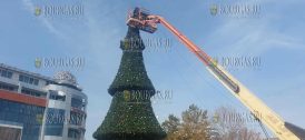 Рождественскую елку установили в центре Бургаса