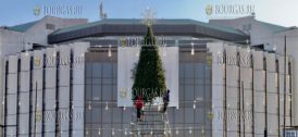 В центре Софии начали монтаж Рождественской елки