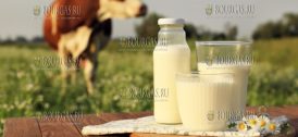 Цены на молоко в Болгарии могут вырасти