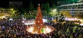 Зажгла огни на Рождественской елке в Казанлыке
