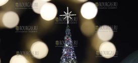 Рождественская елка в Софии засияла более чем 20 000 огнями